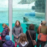 visite à l'aquarium de Québec