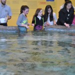 Visite à l'aquarium de Québec