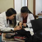 robots insectes 2015