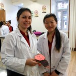 robots insectes 2015