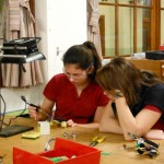 robots insectes 2015