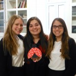 robots insectes 2015