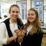 robots insectes 2015